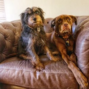 Meet your Posher, Jordan